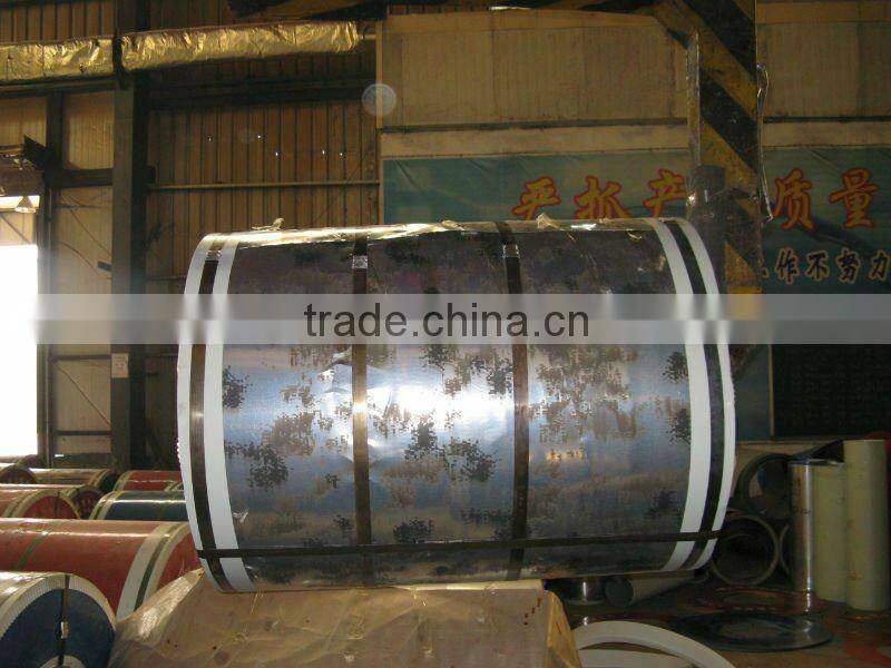 Coated Steel Coil