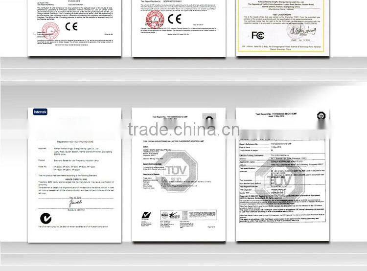 hot new products for 2015 200w lvd magnetic price induction lamp