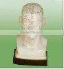 Head model for the acupuncture