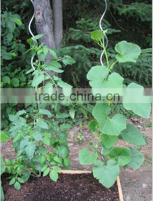 New design wire stick plant support