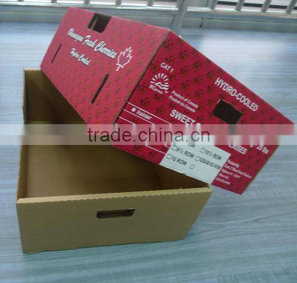 Corrugated Fruit Carton Box,Corrugated Carton Box