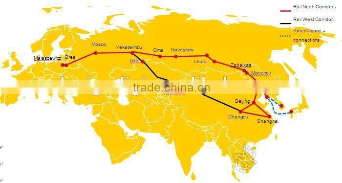 fashionable cute design comfortable made of 100%cotton socks