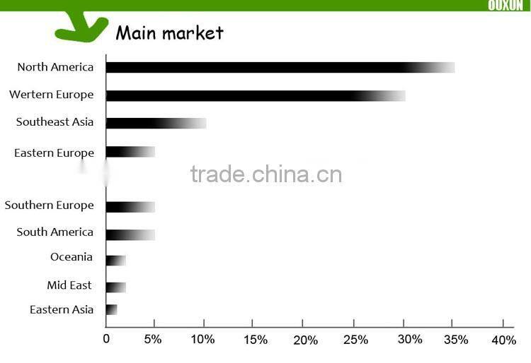 Durable reusable carrier bag/non woven carrier bag/carry bag