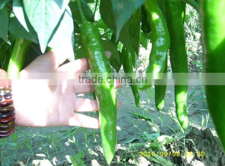 Herb medicine biological bactericide for control pest and bacteria harmless for plant use in organic farm