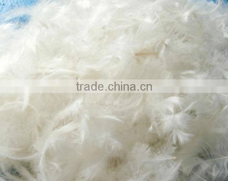 Good quality 2-4cm Washed White Duck Feather