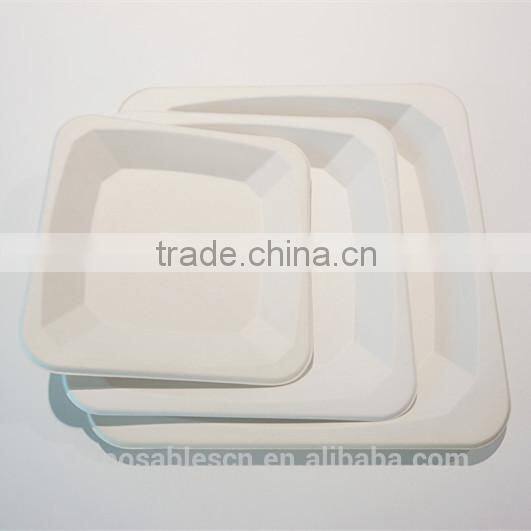 High Quality Different Size Biodegradable Sugar Cane Bagasse Pulp Square Plates