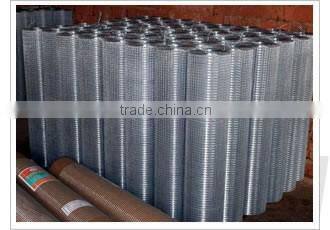 Galvanized Welded Wire Mesh