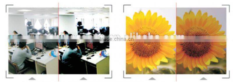 Color Camera 32G SD Card Recording IP Camera