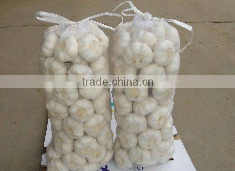 pure and white garlic price in new season