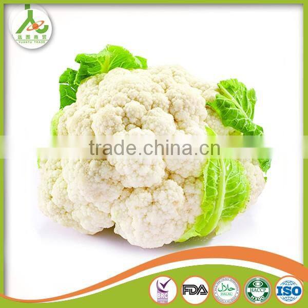 with Best Quality For SaleChina New Crop Fresh white Cauliflower