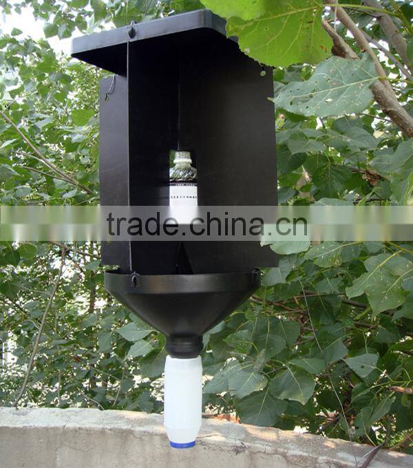 Pheromone lures of Semanotus bifasciatus with trap set