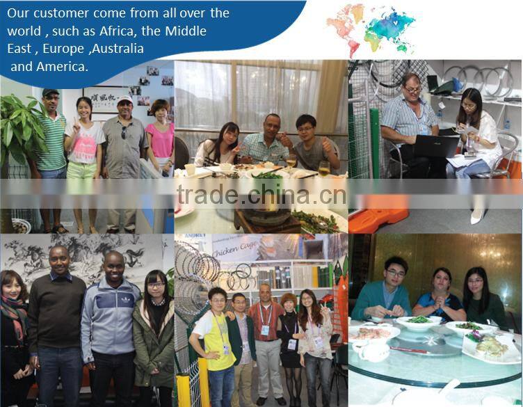 cheap decorative flower garden fencing/plastic garden fence(guangzhou factory)