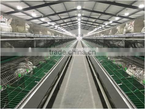 cages rabbit the new rabbit cage equipment