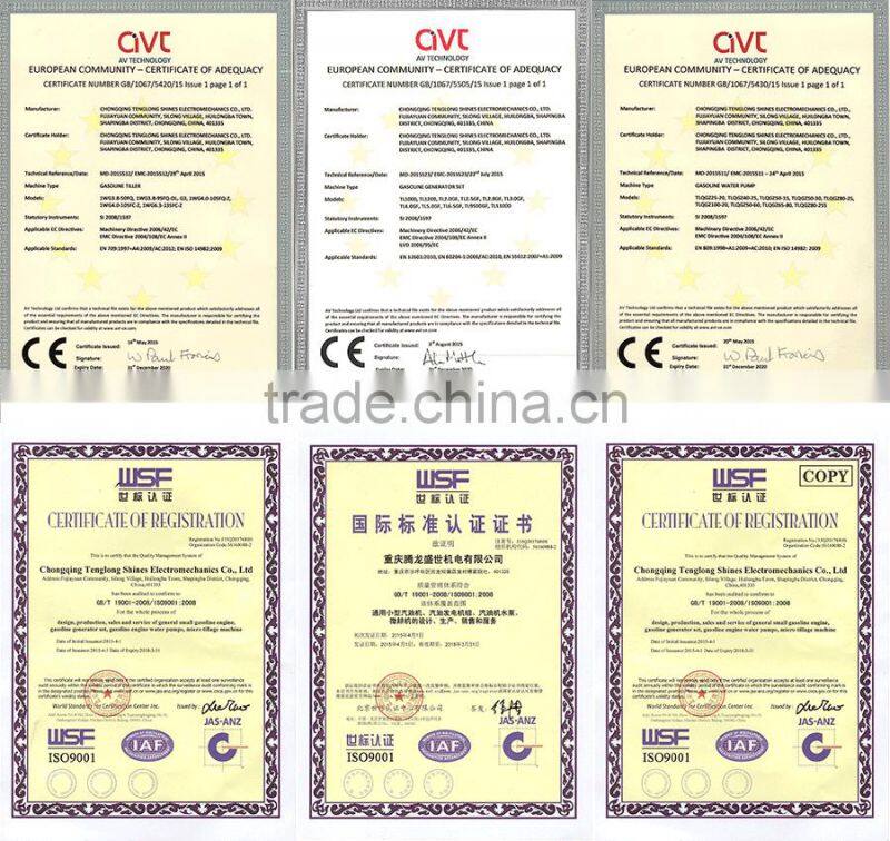 China Top Ten Selling Water Pump 12 volt For Garden Use