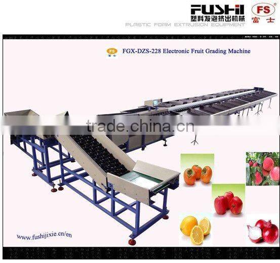 Fruit and Vegetable Grader Machine