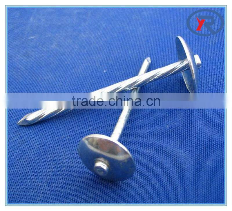 high quality low price Umbrella head galvanized 1-3 inch corrugated roofing nails made in china