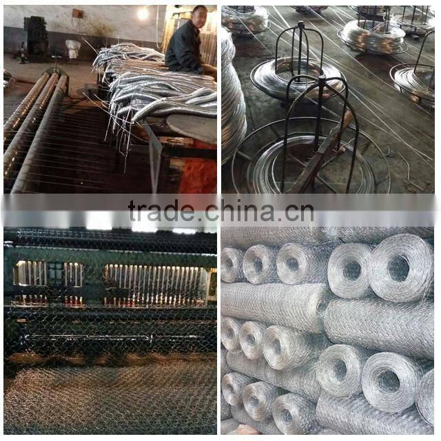 Poultry Wire Fence/Poultry Wire Fence/8 gauge, 1"Chicken Wire