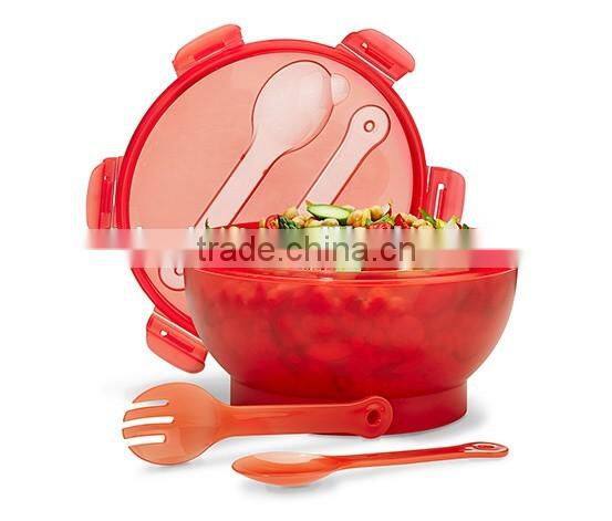 Food grade Salad to go with freezer block