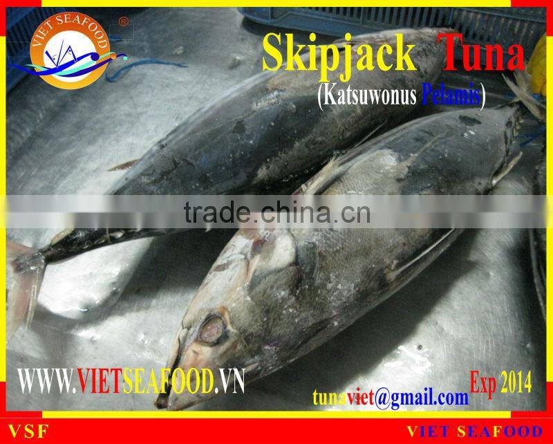 W/R FROZEN SKIPJACK TUNA