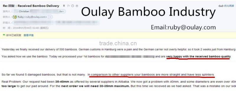 Plastic Coated Natural Garden Bamboo Canes