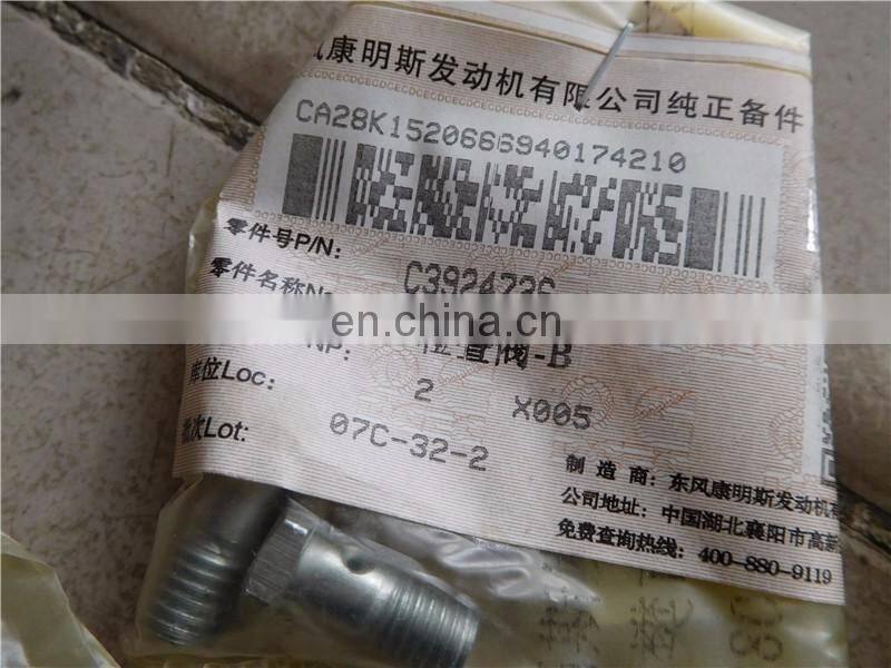 hot sale original parts check valve 3924726