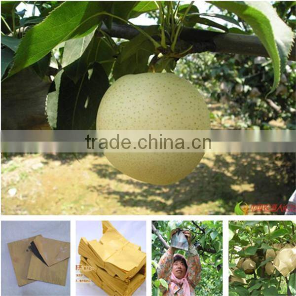 2 layers fruit protection pear bag for growing