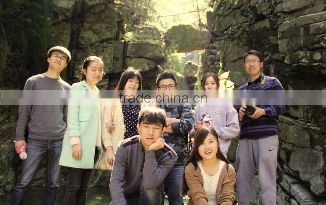 Horse cover skipping ball/ plush cover animal hopper ball/ cute cover with inflatable pvc jumping ball inside