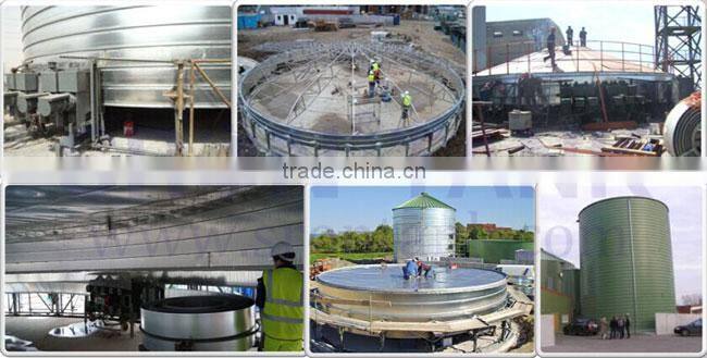 Lipp Sedimentation Tank for Sewage Treatment from China Sedimentation Tank Manufacture