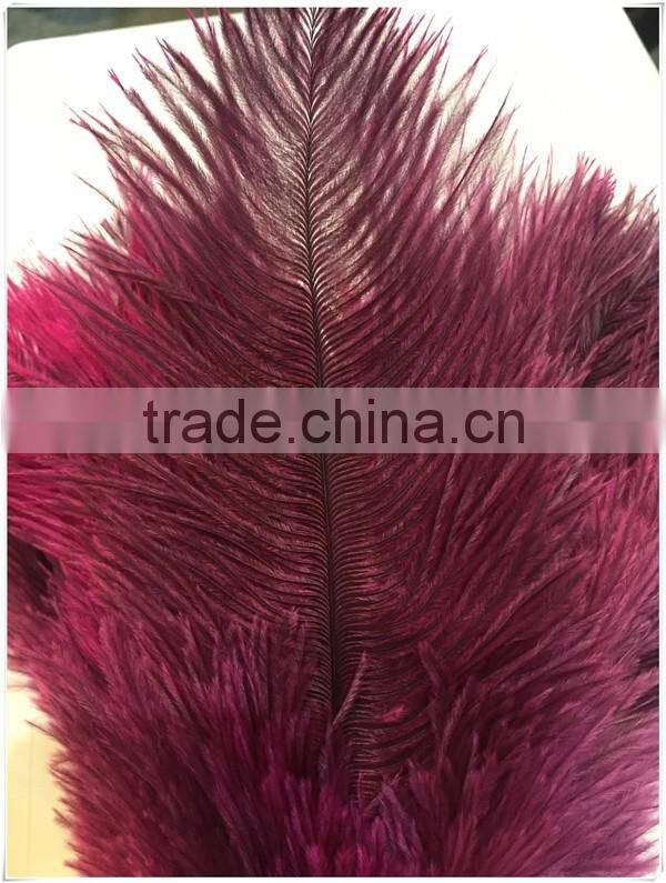 Boardwalk Professional Ostrich Feather Duster