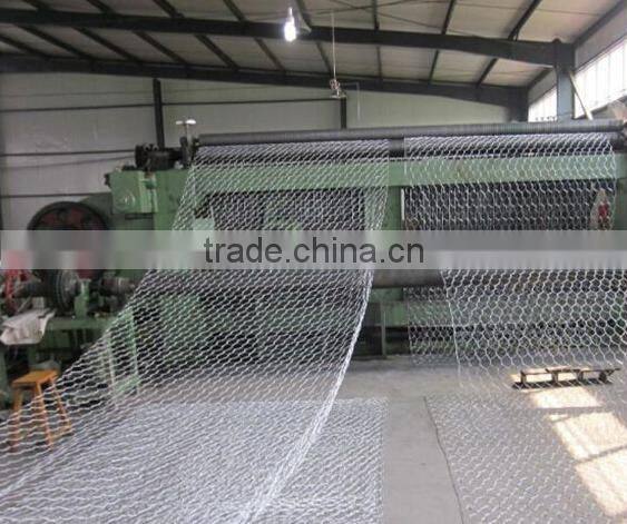 galvanized welded wire mesh gabion box