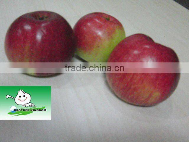 new crop Jiguan Apples,Small apples,low price