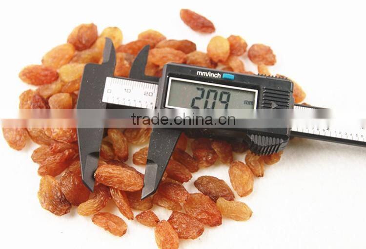 2015 new crop Best Quality Fruit Products Dried Golden Sweet Raisin