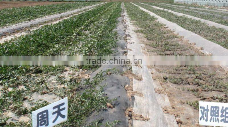 microbial fungicide for seed treatment to prevent fungi, soil brone disease