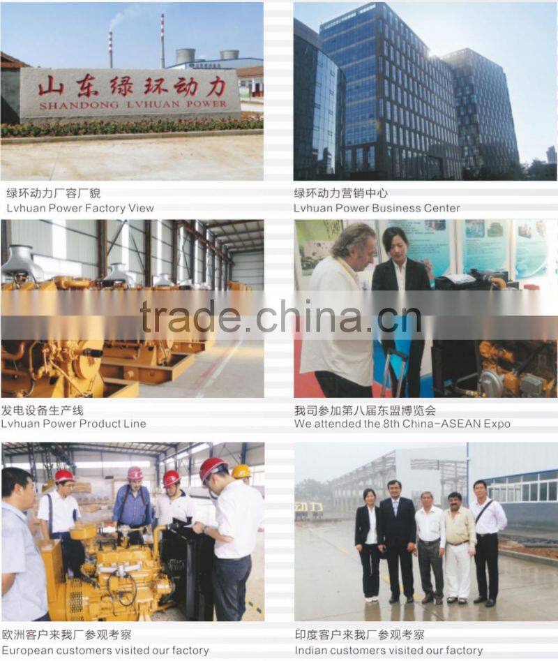 coal gasifier generating electricity 300kw gas genset