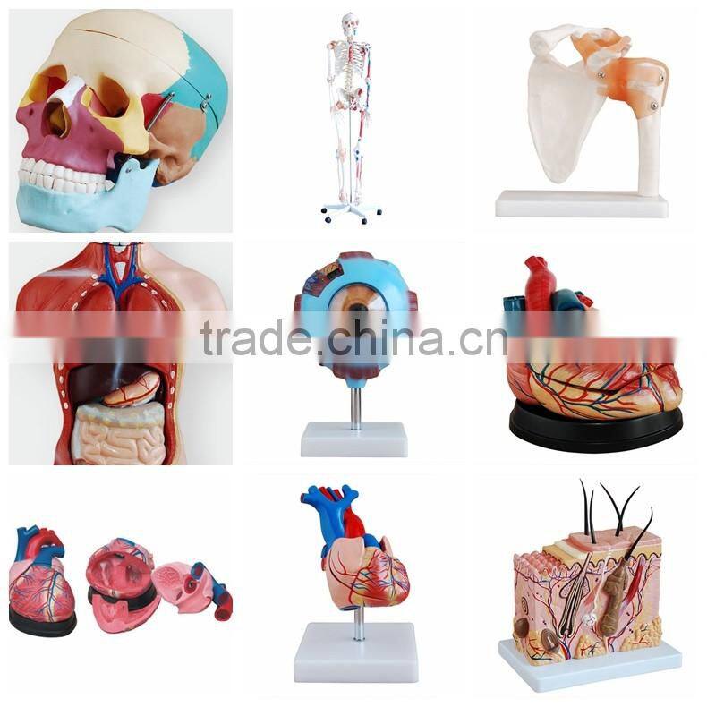 Directly manufacture USB digital relative pressure sensor/transducer used as educational laboratory equipment