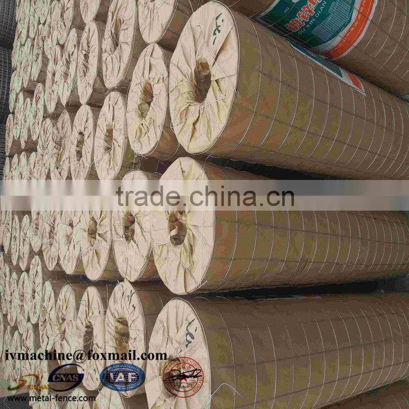 Galvanized welded wire mesh aviary wire mesh