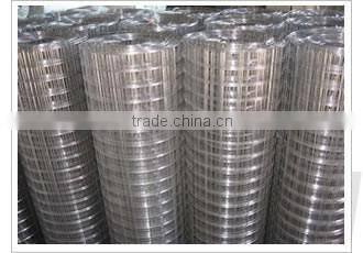 Galvanized Welded Wire Mesh