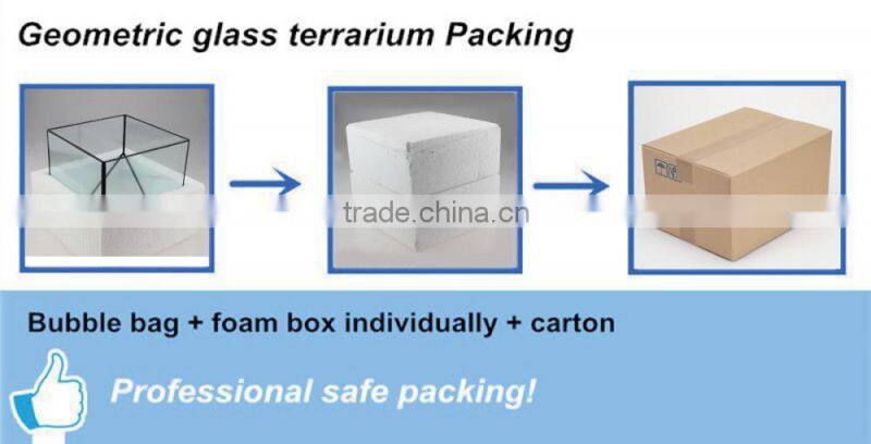 Wholesale handmade glass terrarium vase , glass vase for home