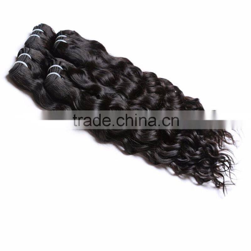 ladies human hair Cambodian/Brazilian/Peruvian/Burmess/Malaysian curly wavy hair