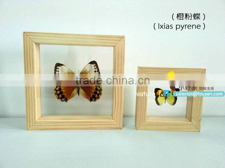 FOUSEN(011) Nature& Art natural species gift souvenir