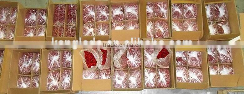 Dried Cherry for Decoration in Bakery, Chocolate