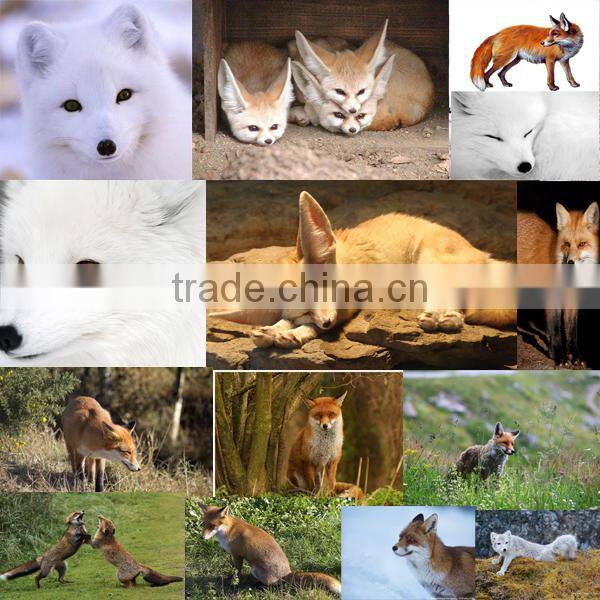 wholesale wild hobby lobby ornaments fox realistic figurine animals