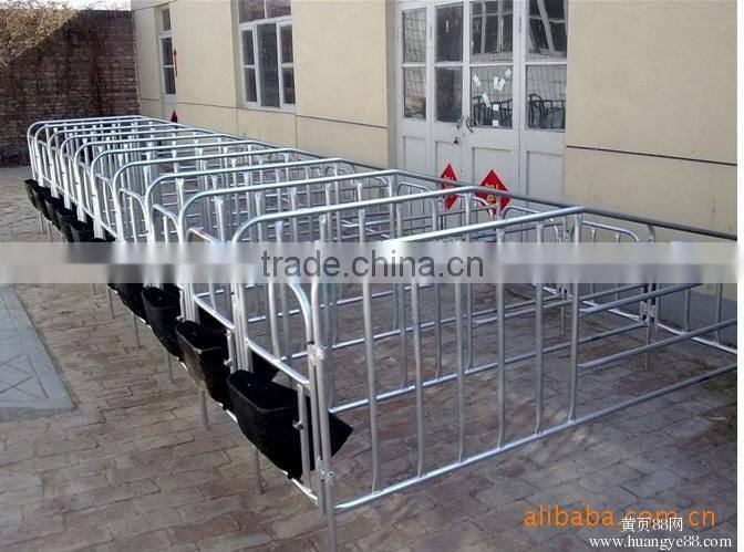Pig farm farrowing pen sow gestation stall