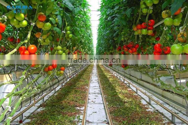 200 Micron Plastic Film Greenhouse For Vegetables