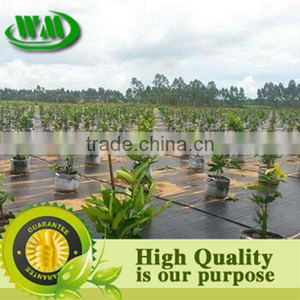 black and green line pe weedmat