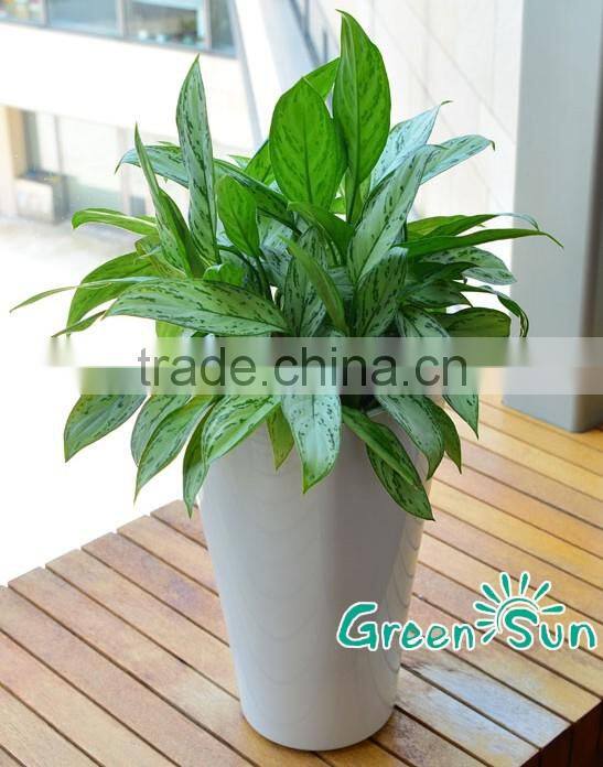 Hotsale self watering flower plant pots for garden decoration