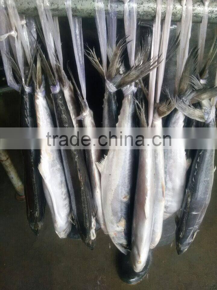 frozen spanish mackerel whole round IQF