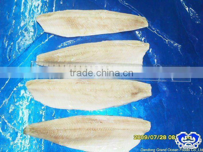 seafood IQF frozen herring fillet