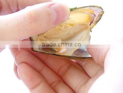 100pcs freshwater pearl gift wish pearl gift pendant necklace great christmas gift English/sea turtle