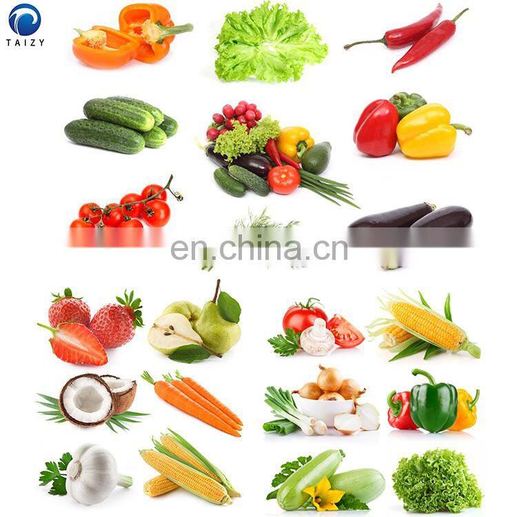 apple pear apricot cherry peach orange cleaning machine fruit and vegetable washing machine